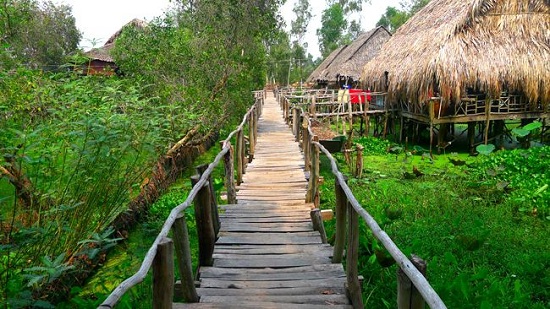 Gao Giong is one of the greatest ecotourism destinations in Mekong Delta