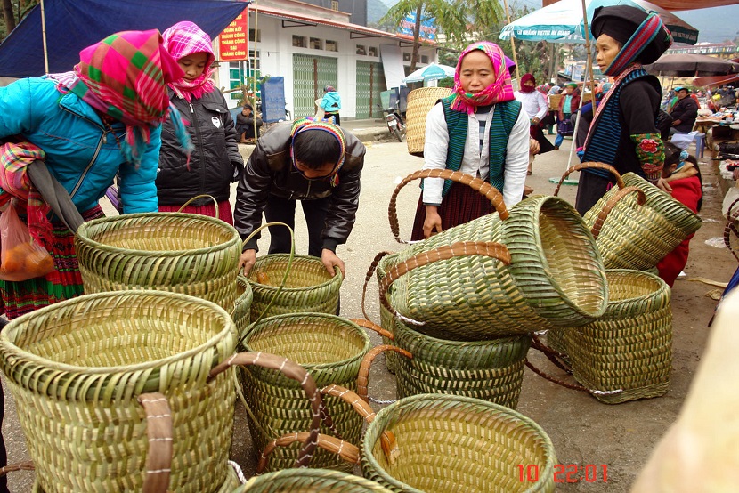 Hoang Su Phi trekking 