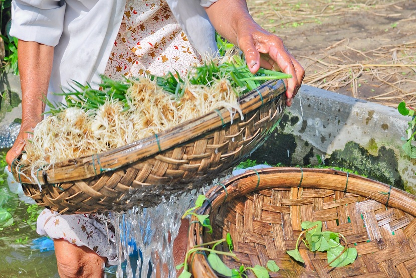 Cooking Class At Tra Que Vegetable Village