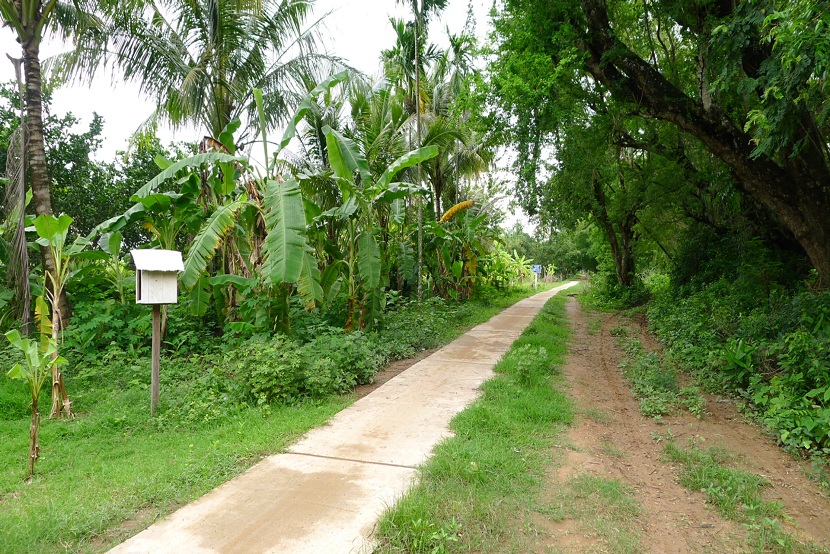 Koh Trong Island 