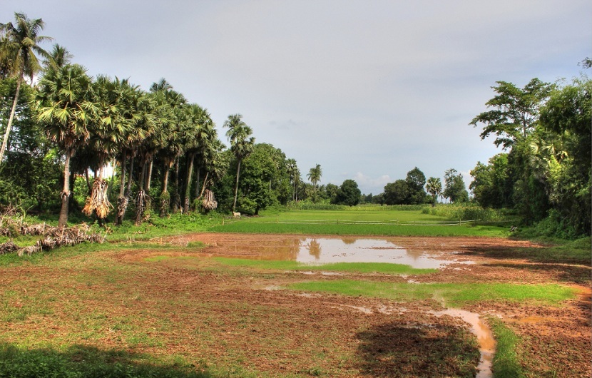 Kratie - Koh Trong island