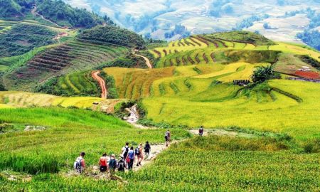 muong hoa valley sapa