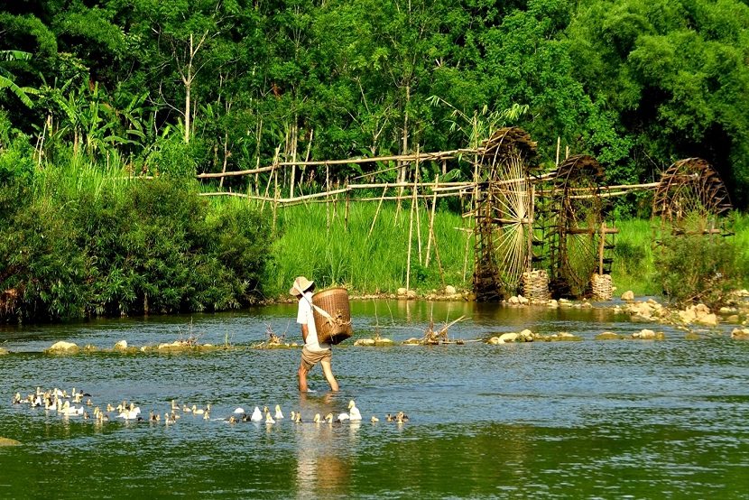 Pu Luong Nature reserve