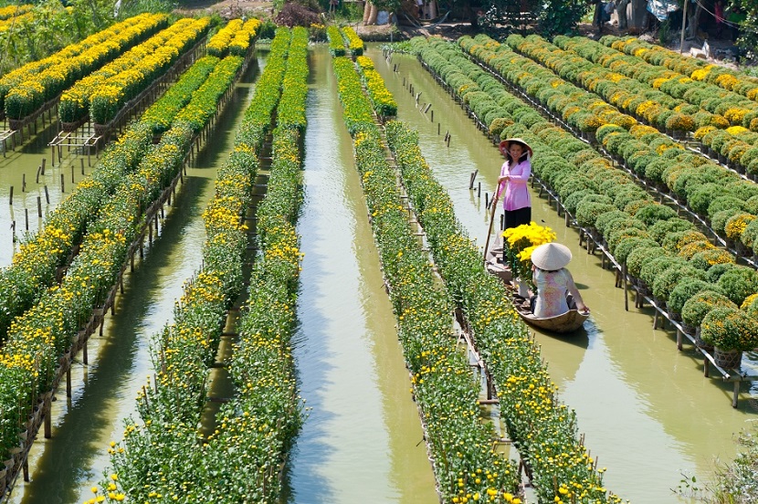 Sa Dec flower village