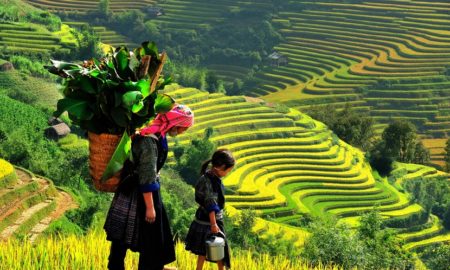 Sapa Trekking Vietnam