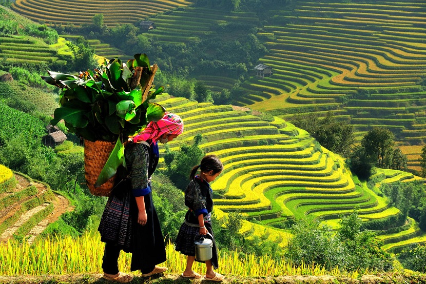 Sapa Trekking Vietnam 