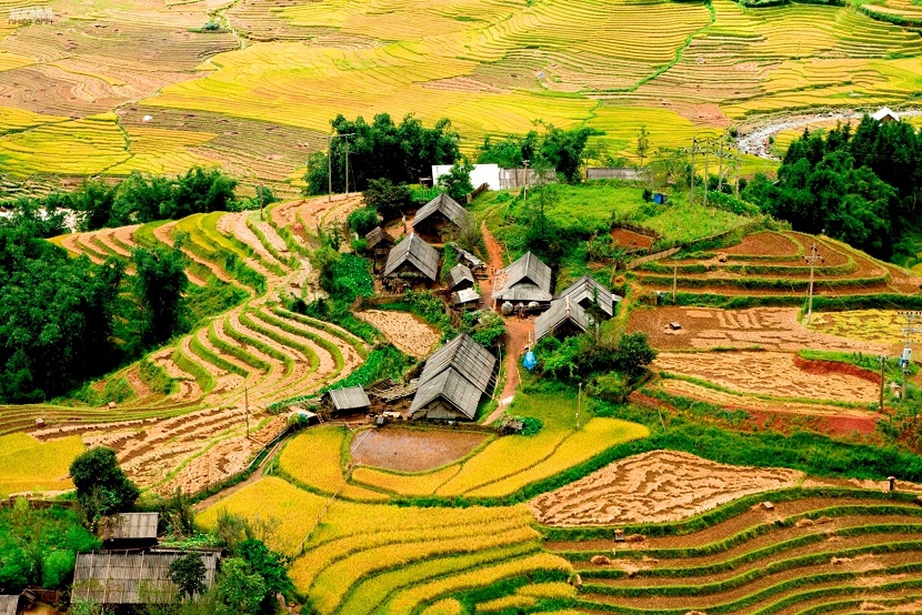 Ta Phin village