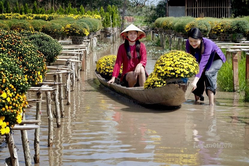 Tan Quy Dong flower village