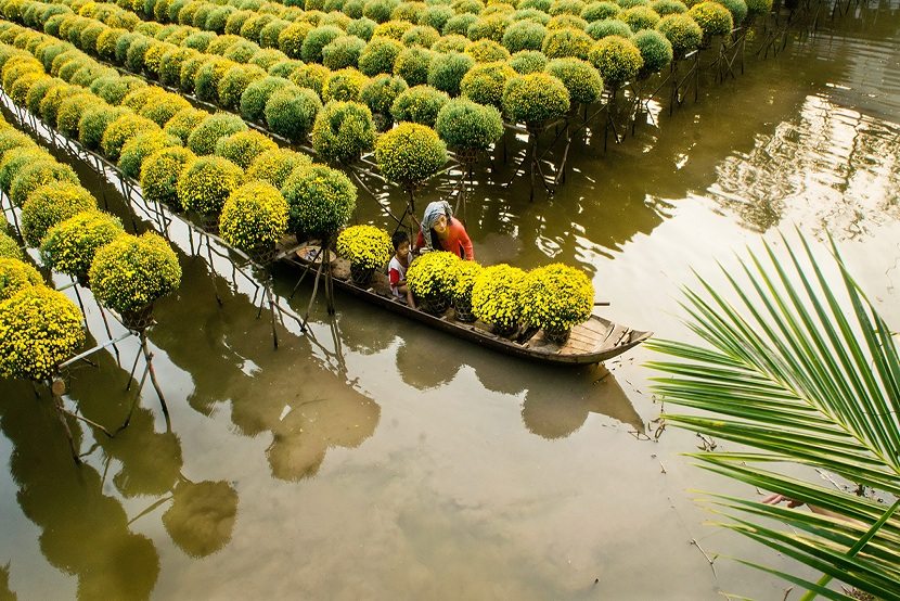 Hình ảnh có liên quan