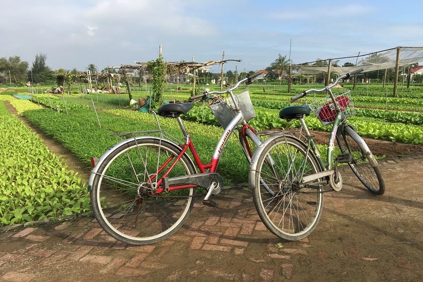 Tra Que village bicycle