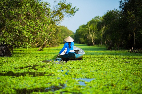 Mekong Delta TraSu