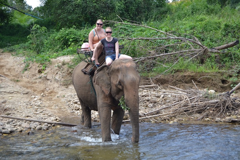 Yok Don National Park 1