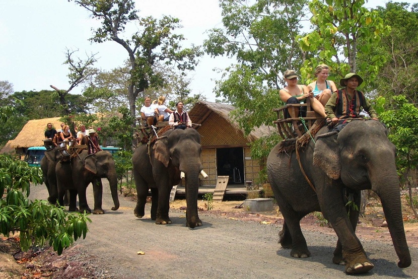 Yok Don National Park 2