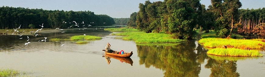 4 Amazing Things to See and Do in Dong Thap, Vietnam