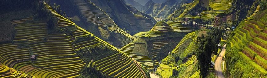 5 Reasons to Fall in Love with Northwest of Vietnam