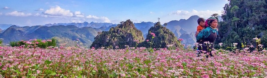 Top 6 Things to Do in Ha Giang, Vietnam