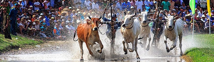 Traditional Festivals in Mekong Delta, Vietnam