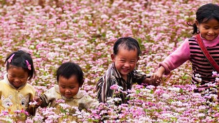 The popular festivals in Northwest Vietnam