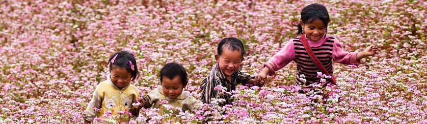 The Popular Festivals in Northwest Vietnam