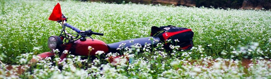 Traveling to Northwest Vietnam in Blossom Seasons