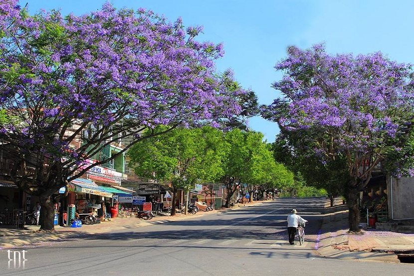 Da Lat