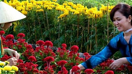 Exploring Flower villages in Mekong Delta