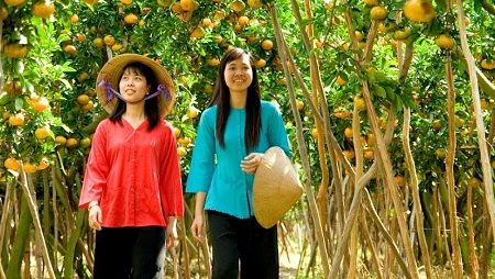 famous fruit orchards in Mekong Delta