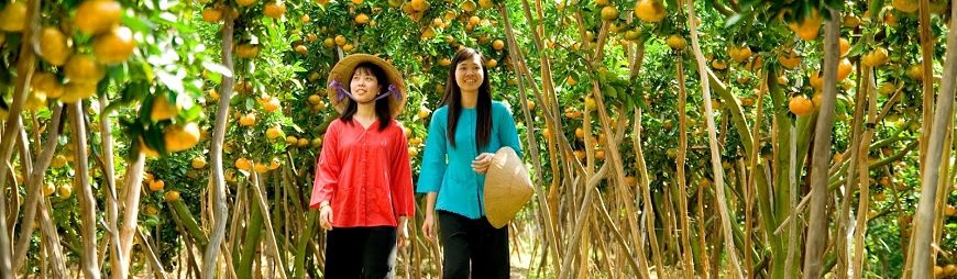 Visiting 4 Famous Fruit Orchards in Mekong Delta