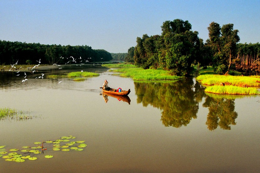 Mekong Delta 