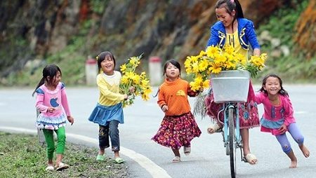 charming flower seasons in Moc Chau