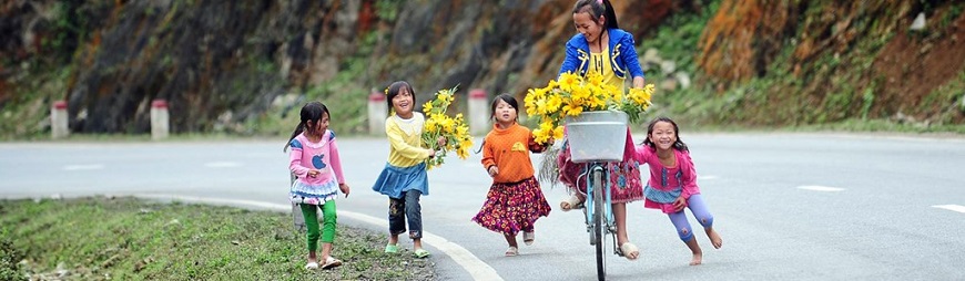 5 Charming Flower Seasons in Moc Chau