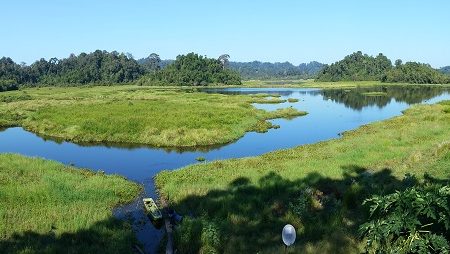 Crocodile Lake