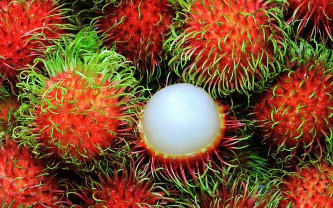 Top 6 strange Vietnamese fruits and how to eat them