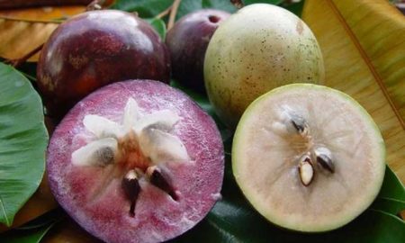 Top 6 strange Vietnamese fruits and how to eat them