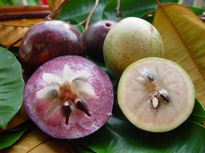 Top 6 strange Vietnamese fruits and how to eat them