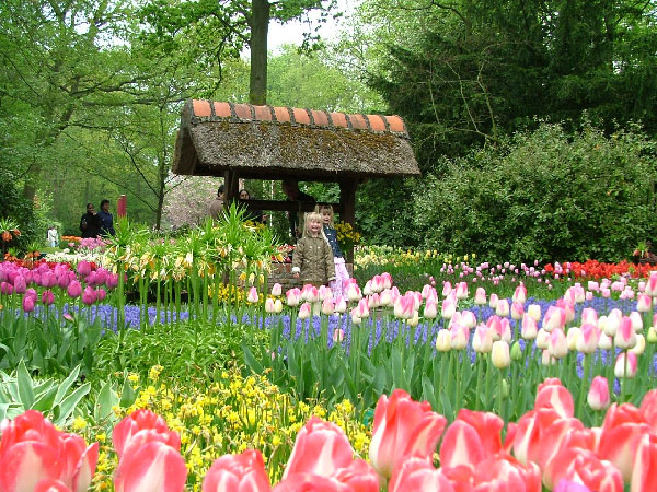 Top Check-in Locations in Dalat for 2017: Dalat Flower Park