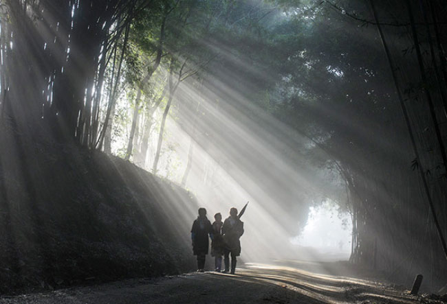 Ideal destinations in Lao Cai for the most amazing photos: Sapa-Ta Van Road