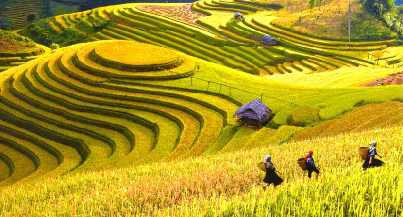 Where to go in September for Vietnam trip: Ha Giang