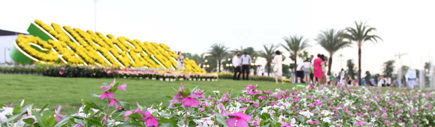 Must-visit green parks in Saigon