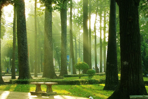 Must-visit green parks in Saigon: Must-visit green parks in Saigon 