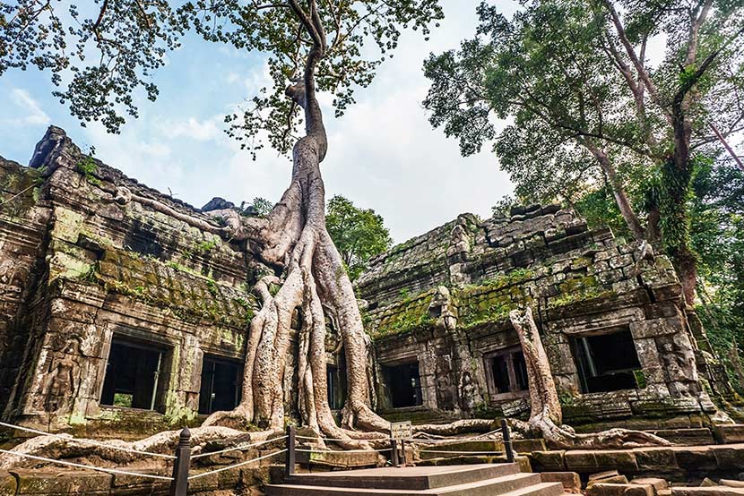 ta-prohm-campuchia-2