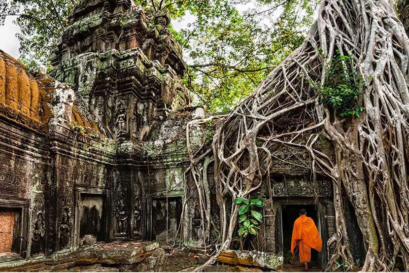 ta-prohm-siem-reap-campuchia