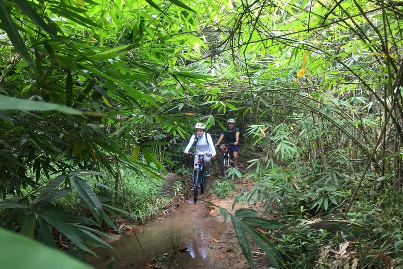 Ma Da forest, Dong Nai province