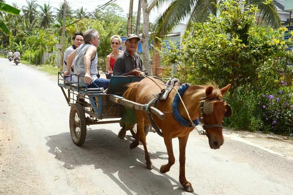 horse cart riding in the mekong delta