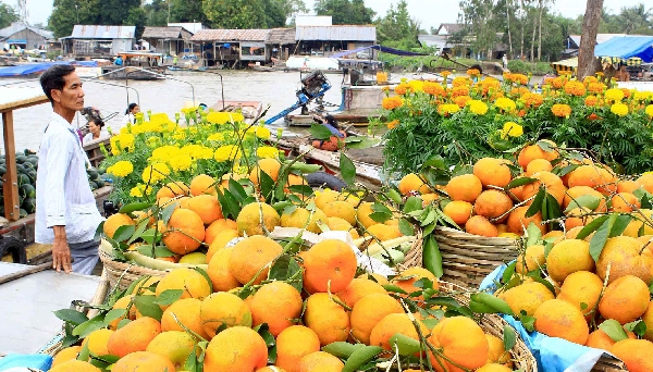 Fruits are the most popular goods sold at Cai Rang, Tien Giang