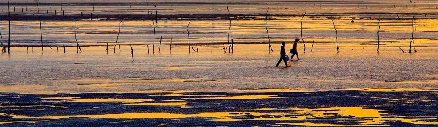 Bac Lieu Travel Guide, A Land of Debauchees