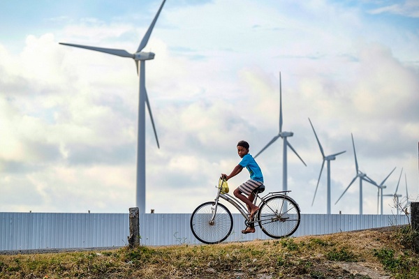 Bac Lieu wind fan field