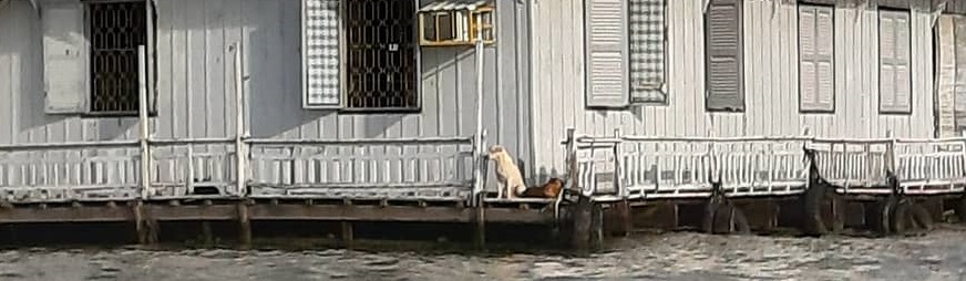 Chau Doc Floating Village – Where to Visit in An Giang