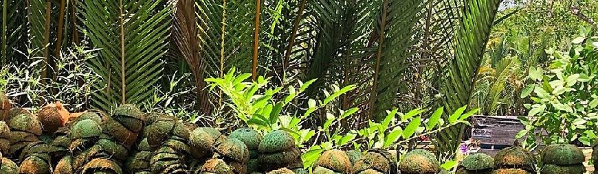 Top 5 Handicraft Villages in Ben Tre to Visit in 2019