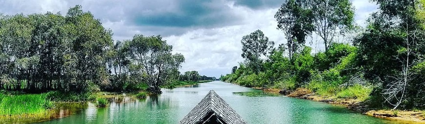 Dong Thap Travel Guide – What to Know Before Travel